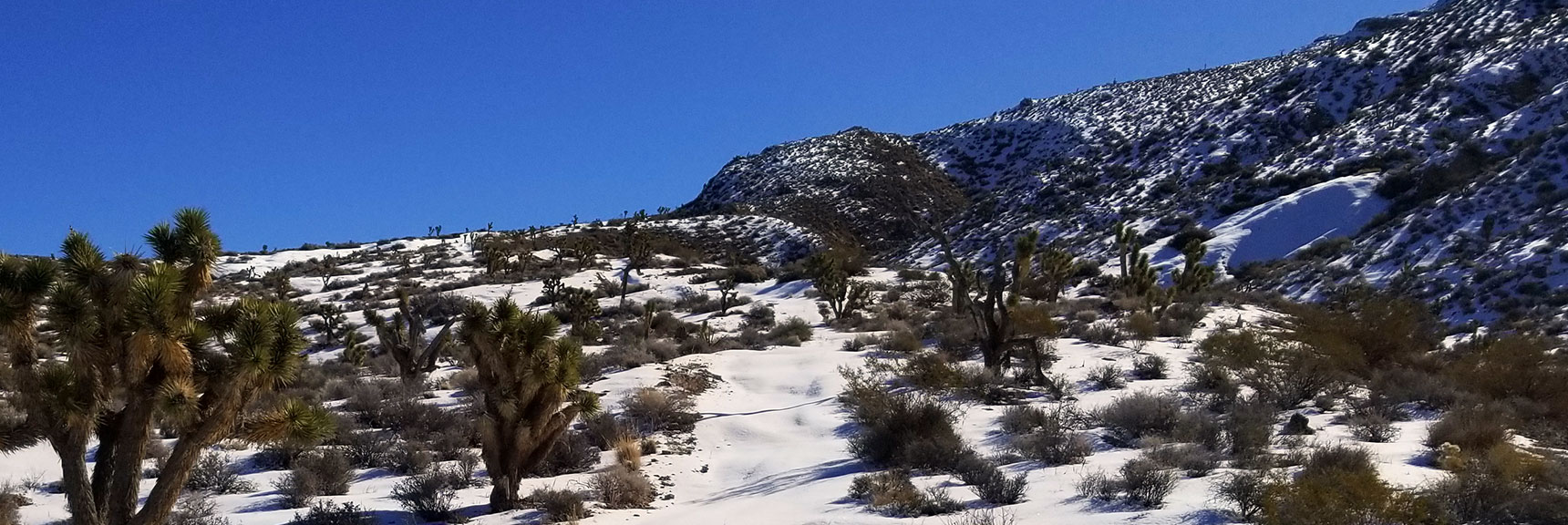 North Side of Gass Peak After Snowfall, Nevada