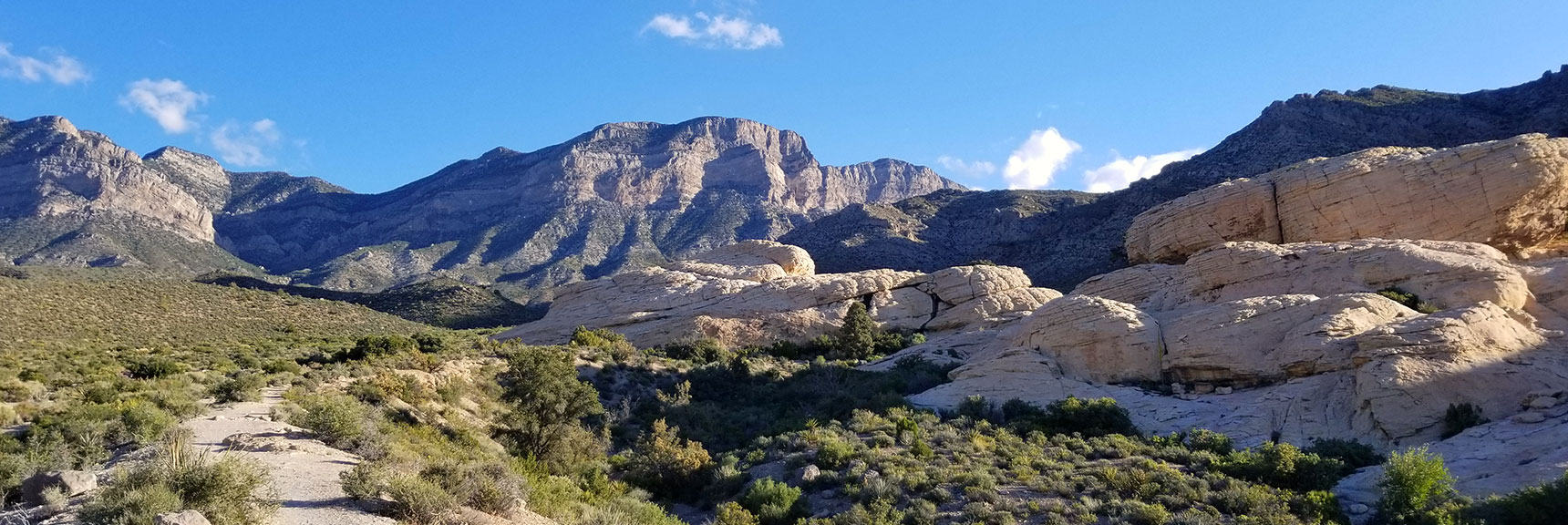 Trail Toward Turtlehead Peak in Red Rock National Park, Nevada