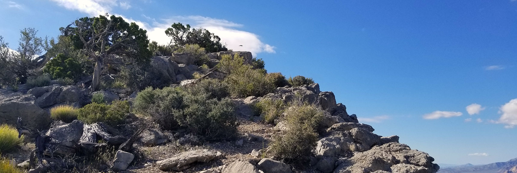 Turtlehead Peak Summit in Red Rock Park, Nevada
