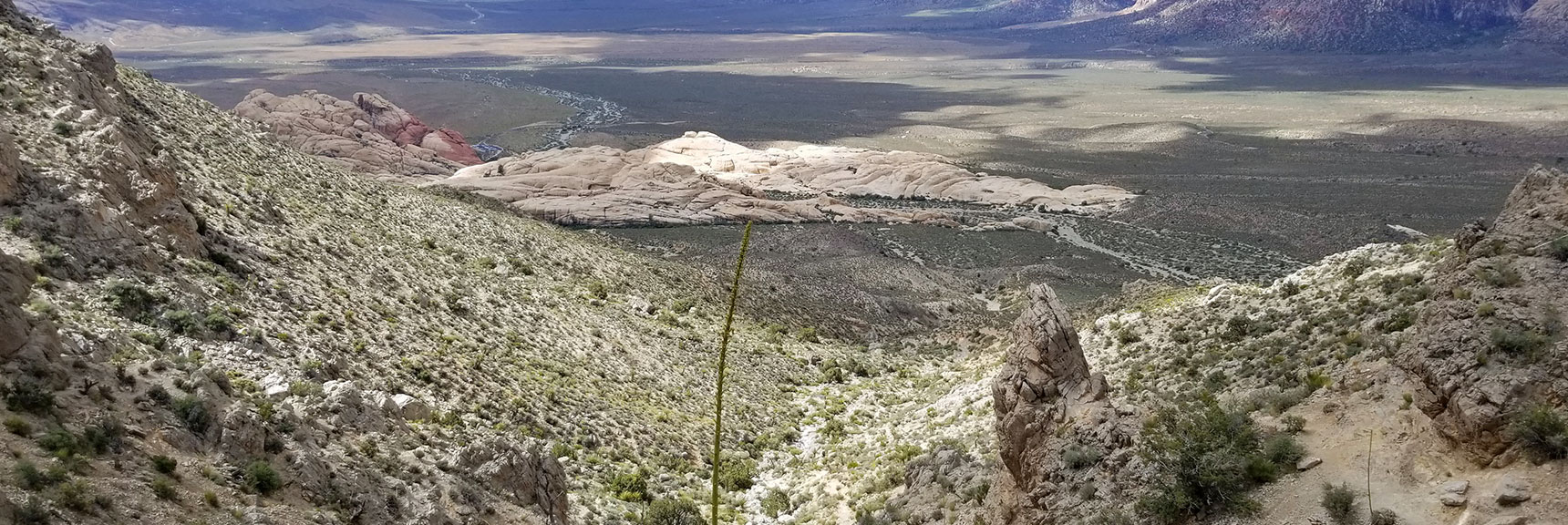 Heading Down Main Turtlehead Peak Trail in Red Rock National Park, Nevada