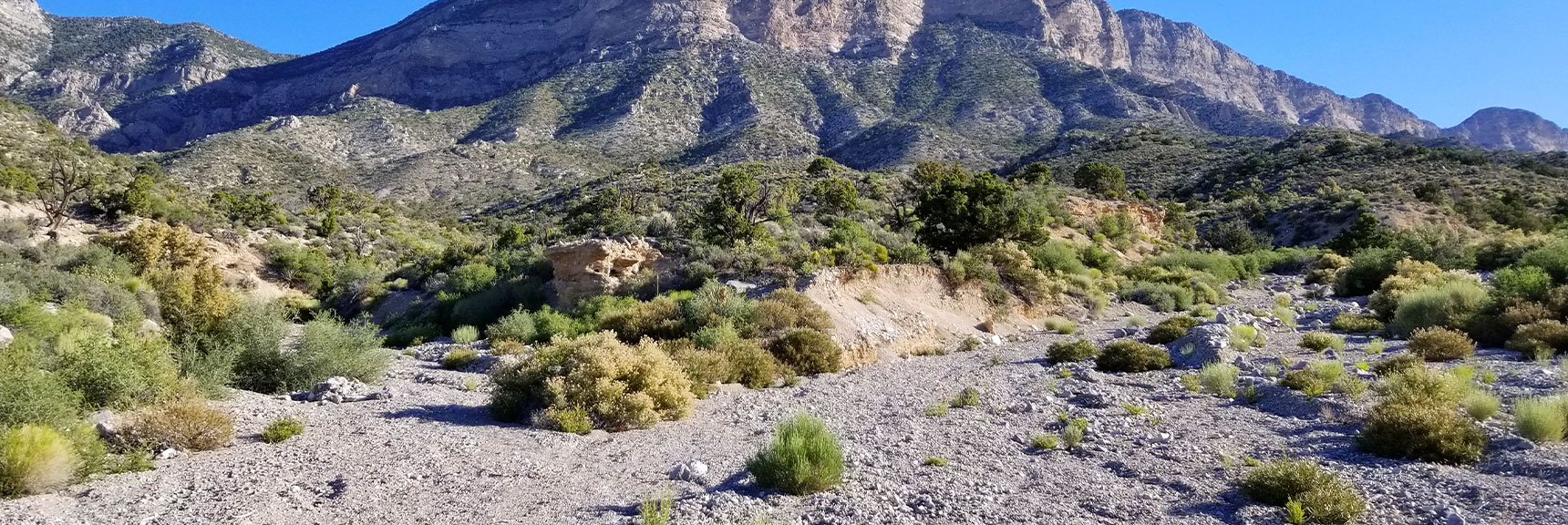 Upper Red Rock Canyon Wash Divide Toward Calico Basin and Damsel Peak