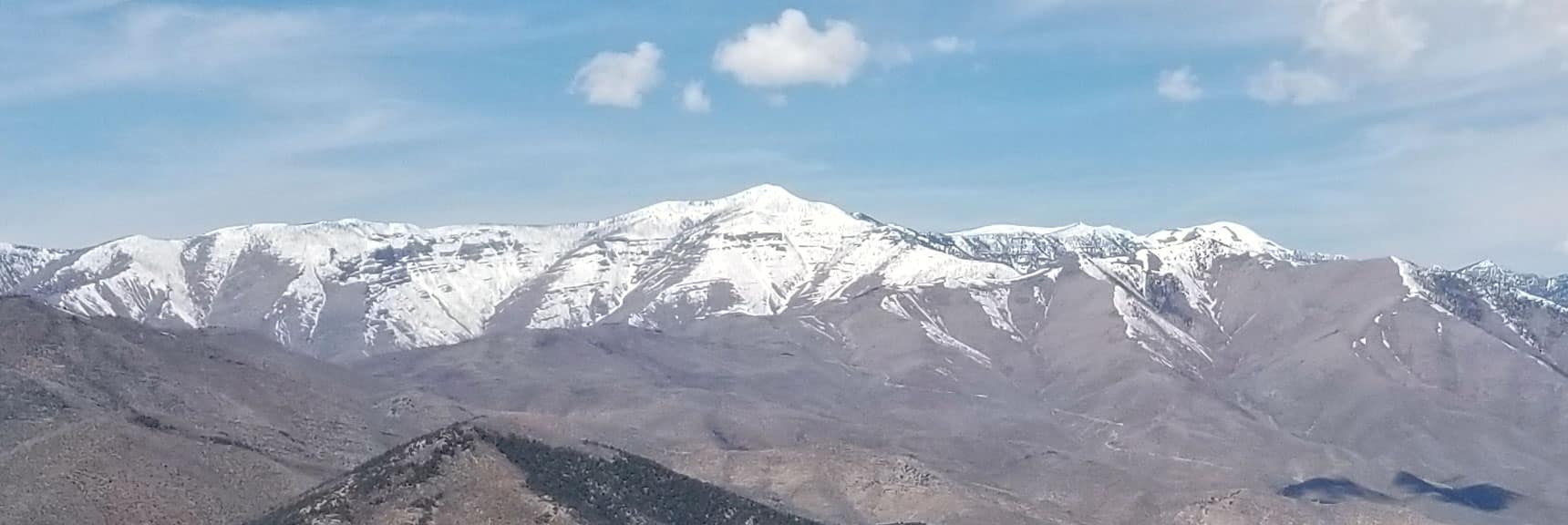 Griffith Peak in Mt Charleston Wilderness Viewed from 7800ft on Keystone Thrust Near La Madre Mt, Nevada