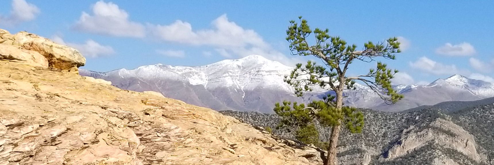 Griffith Peak in Mt Charleston Wilderness Viewed from Piedmont Ridge, Red Rock Park, Nevada
