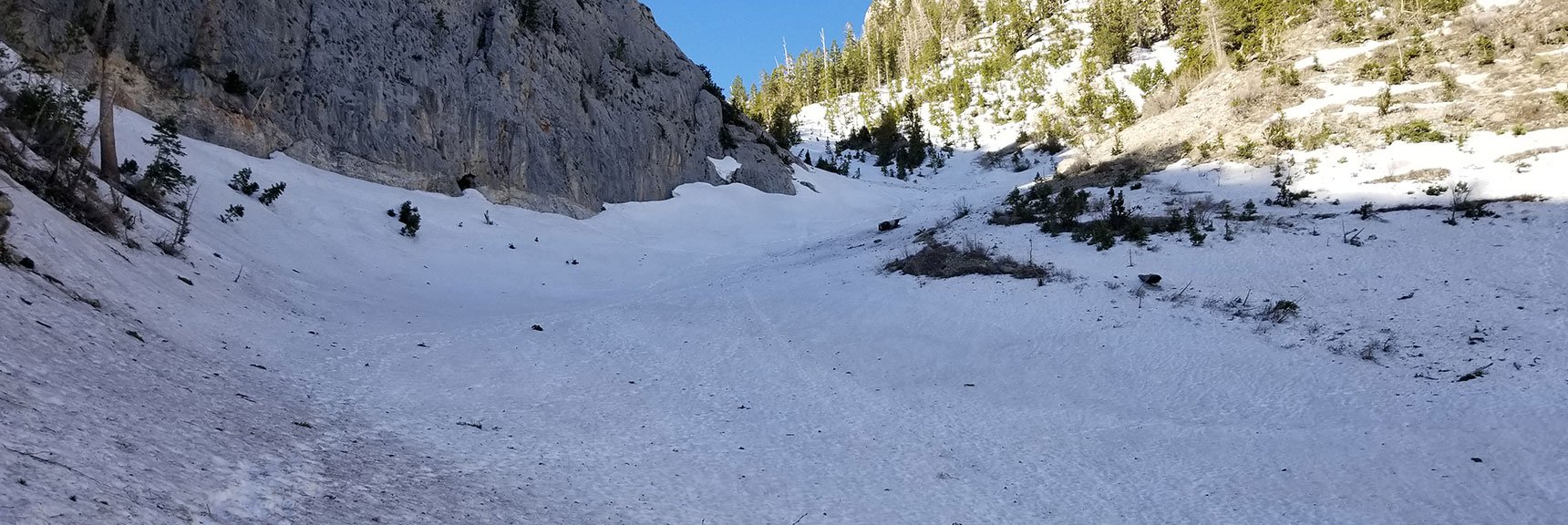 First June 2019 Snowfield on Trail to Griffith Peak, Nevada