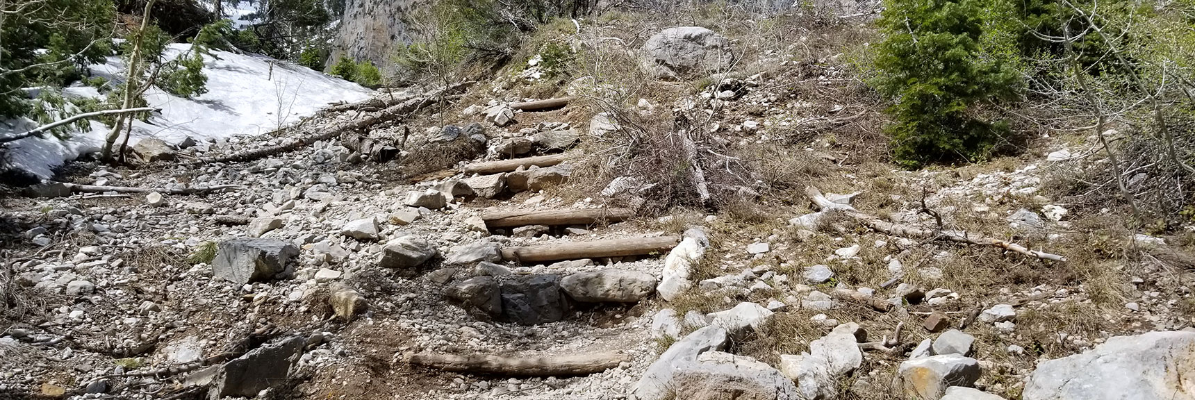 Stairway on South Climb Trail to Griffith Peak in Mt Charleston Wilderness