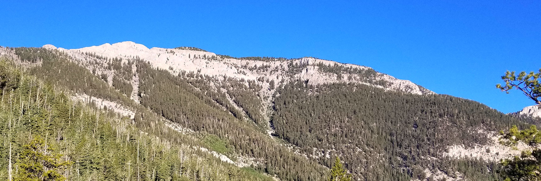 Viewing Summit Approaches on the East Side of Mummy Mountain from the North Loop Trail