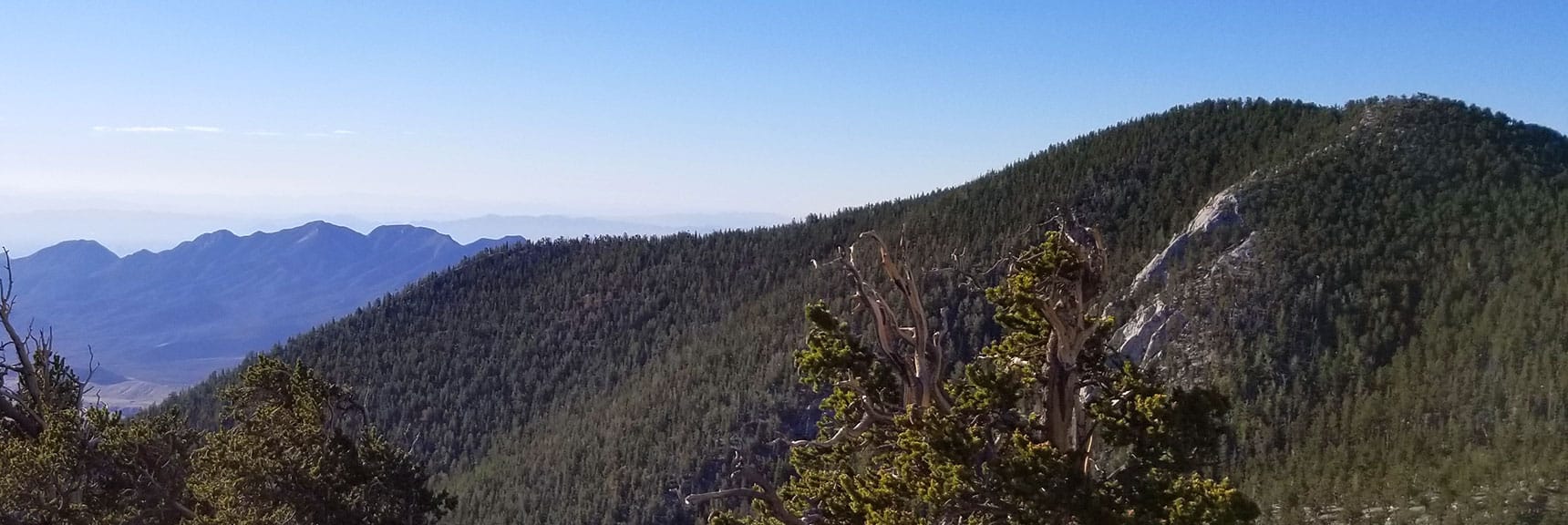 Fletcher Peak from Ridge Over North Loop Trail, La Madre Mt. in Background