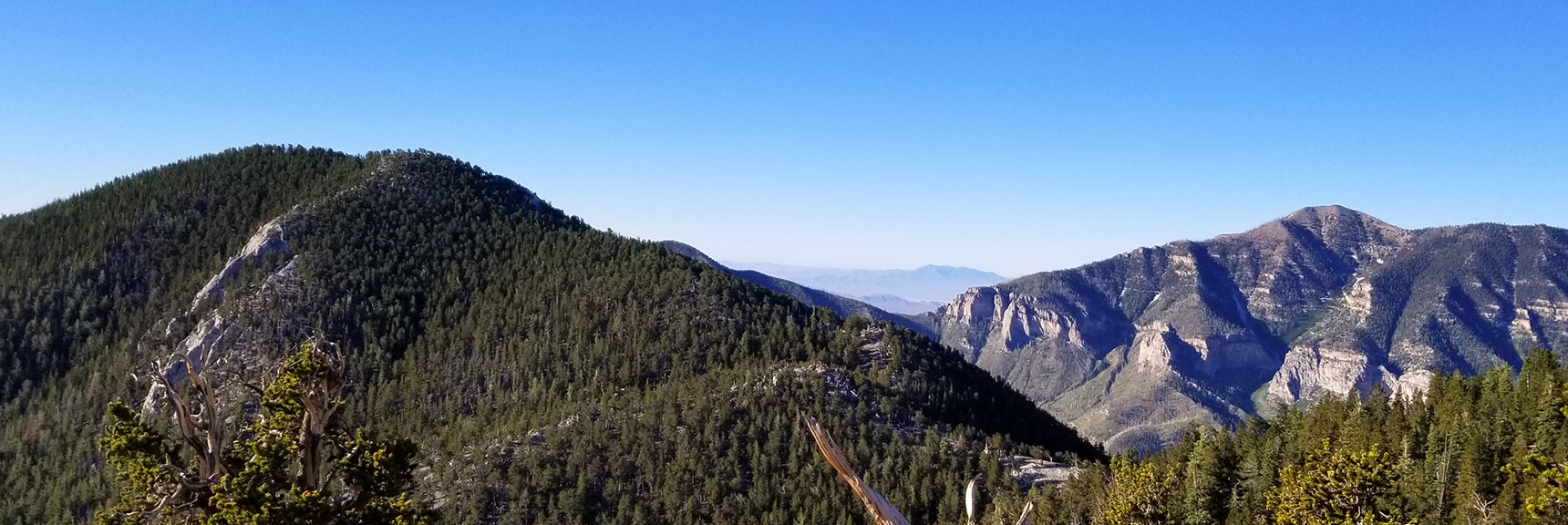 Fletcher Peak from Ridge Over North Loop Trail, Griffith Peak in Background