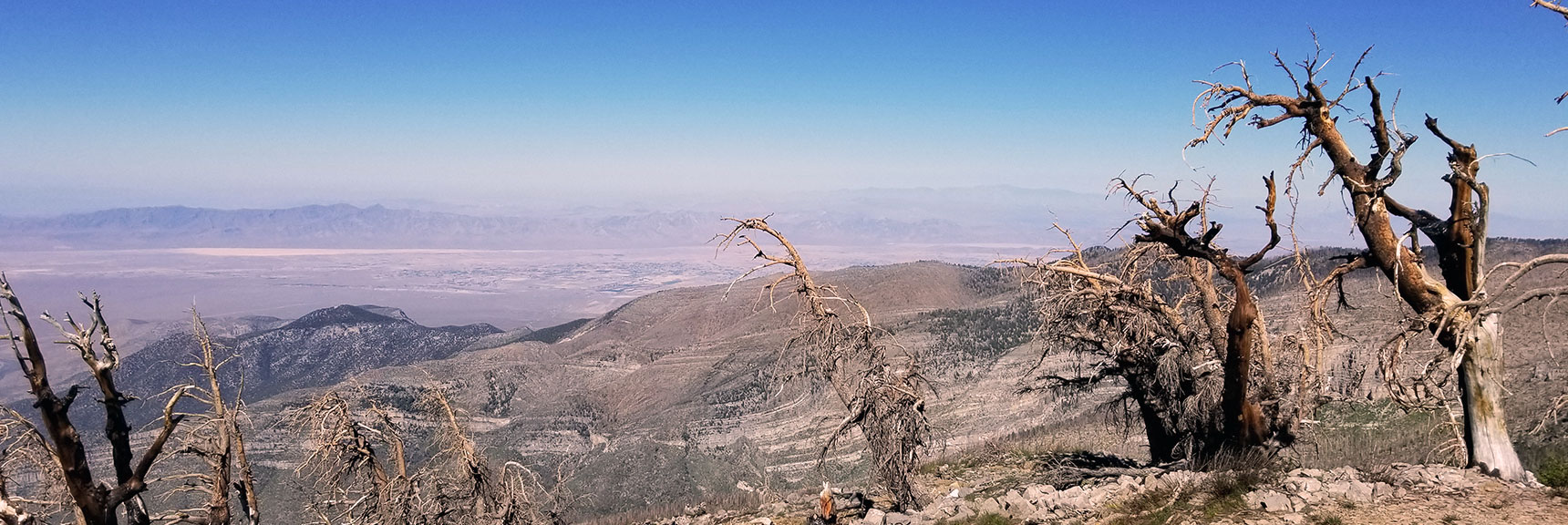 Pahrump, Telescope Peak Viewed from Griffith Peak Summit, Nevada