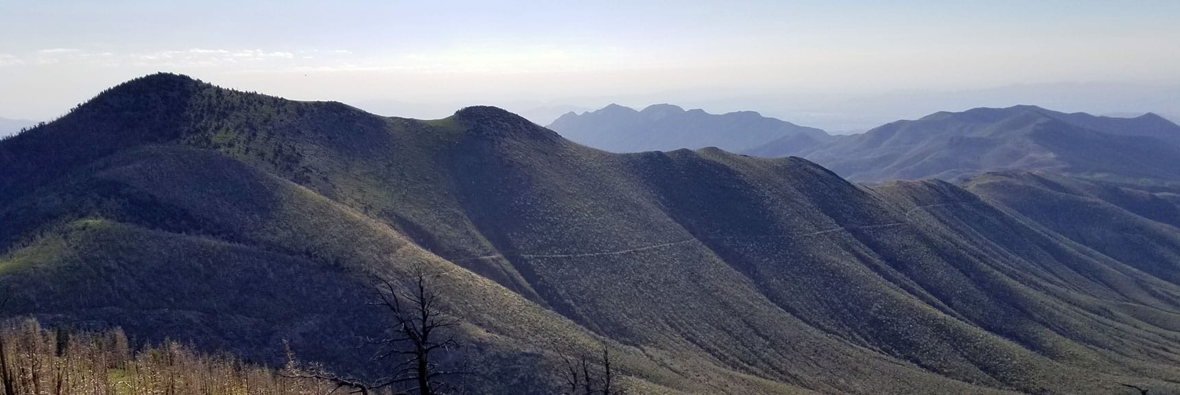 Harris Mountain, Ridge and Main Trail from Harris Springs Rd.