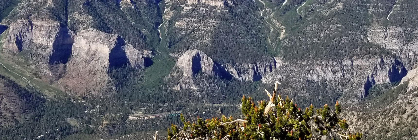 Cathedral Rock Viewed from Fletcher Peak in Mt. Charleston Wilderness, Nevada