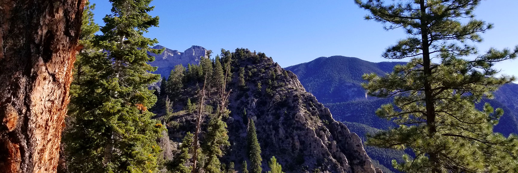 Cathedral Rock Viewed from Its Saddle, Mt. Charleston Wilderness, Nevada