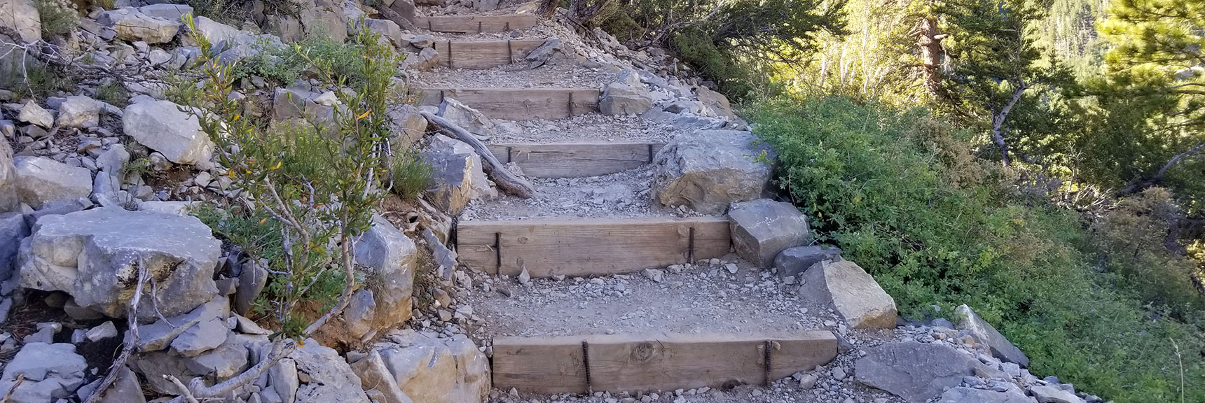 Stairs Along Cathedral Rock's Final Approach, Mt. Charleston Wilderness, Nevada