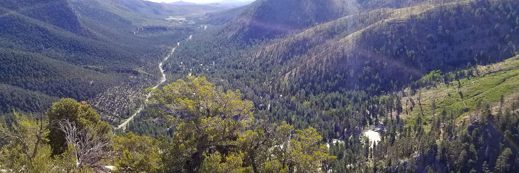 View Down Kyle Canyon from Cathedral Rock Summit, Mt. Charleston Wilderness, Nevada