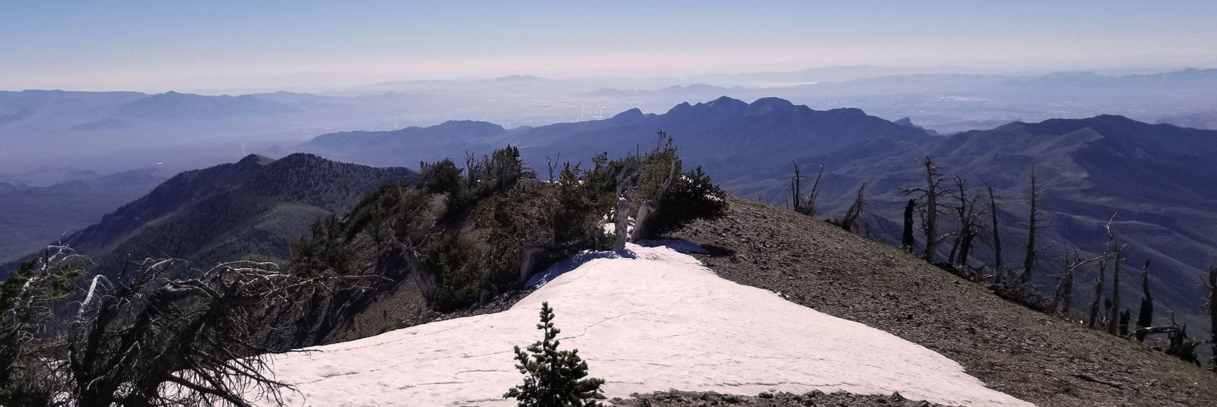 La Madre Mt. Viewed from Griffith Peak Summit in Mt. Charleston Wilderness