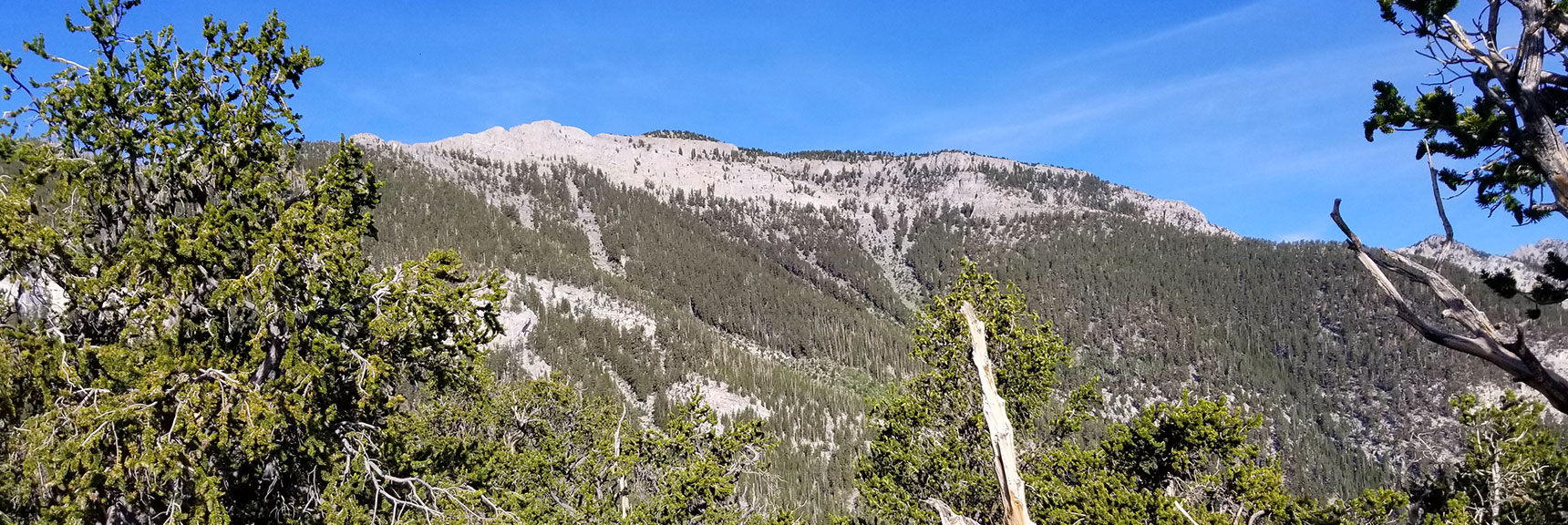 Eastern Side of Mummy Mountain Viewed from the First Plateau on the North Loop Trail in Mt. Charleston Wilderness, Nevada