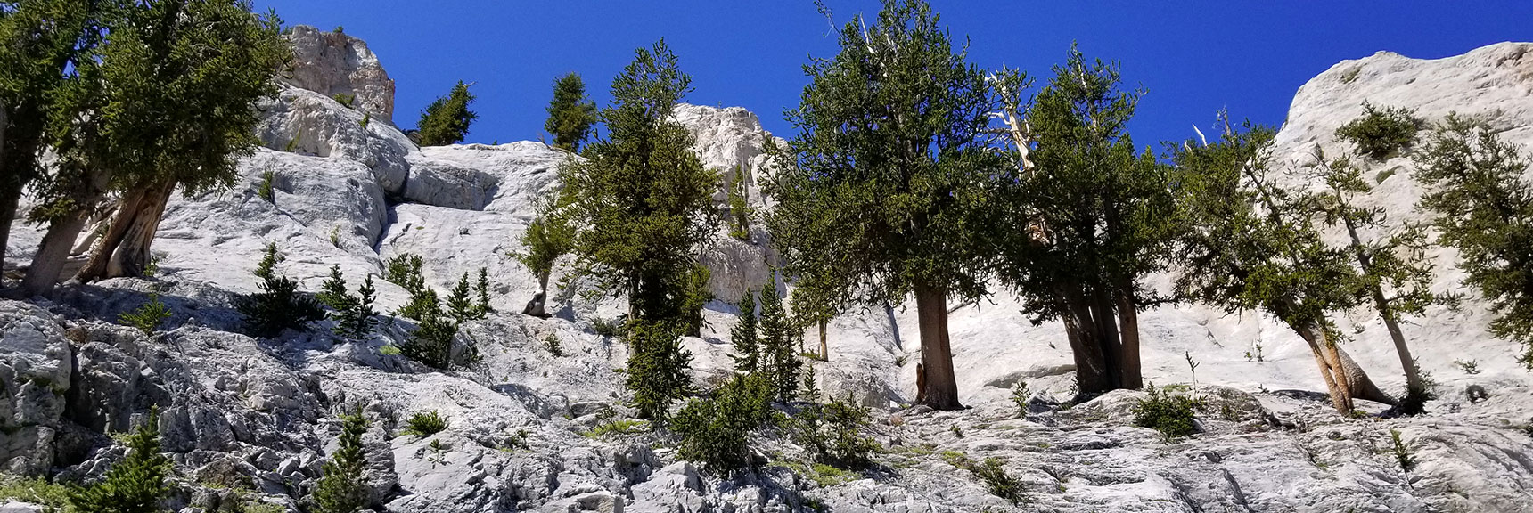 Arrival at the Base of the East Cliff of Mummy Mountain in Mt. Charleston Wilderness, Nevada