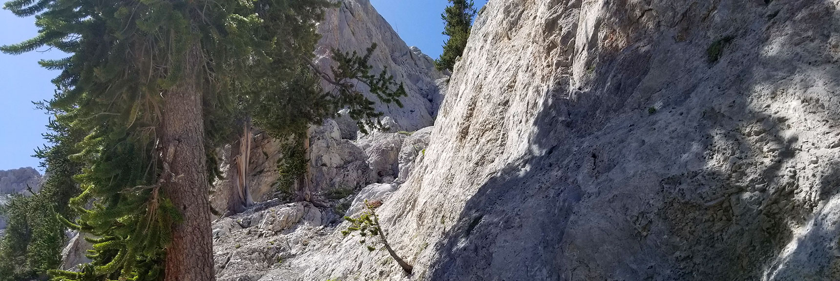 Entering the Mouth of the Narrow Mummy Mt. East Final Approach Canyon in Mt. Charleston Wilderness, Nevada