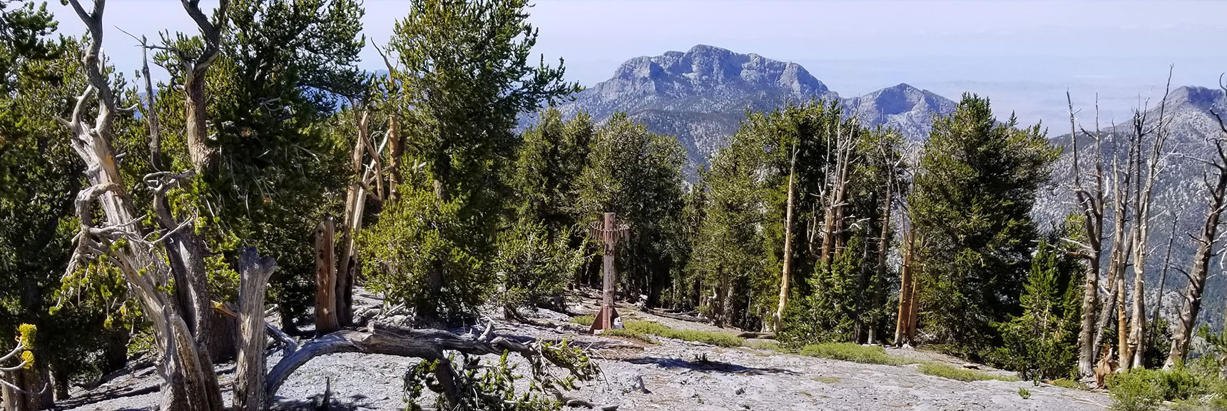 Abandoned Ski Tower Below Lee Peak Marks Left Turn to Rejoin Upper North Loop Trail in Mt Charleston Wilderness, Nevada