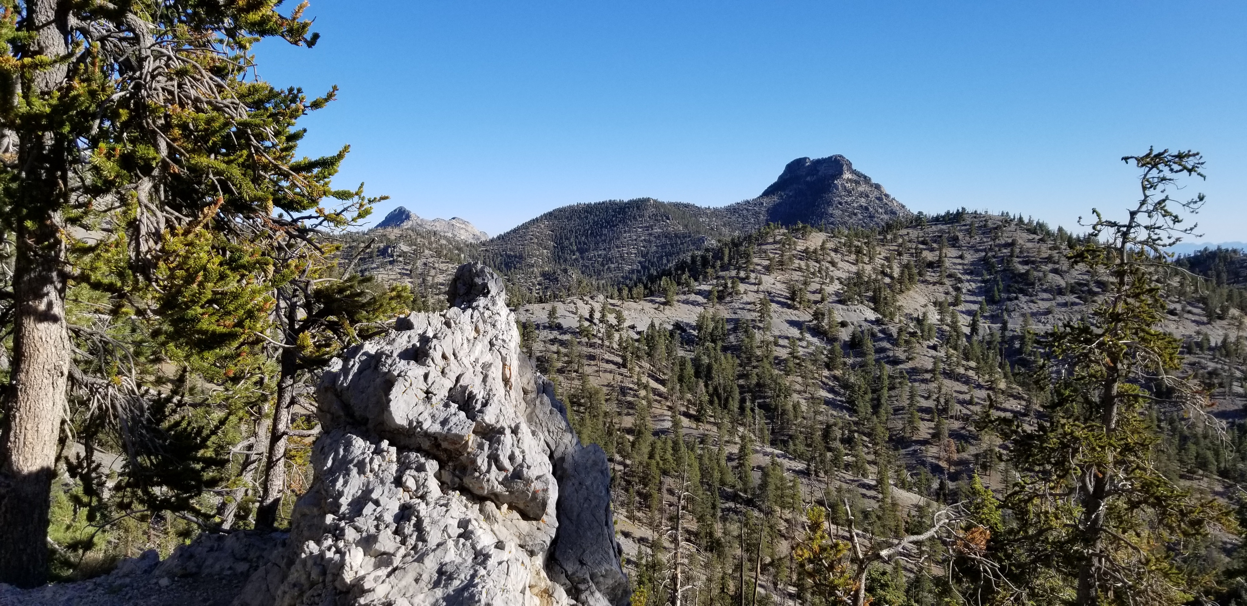A 9453ft Rocky Peak Viewed from the Bristlecone Pine Trail in Mt. Charleston Wilderness, Nevada