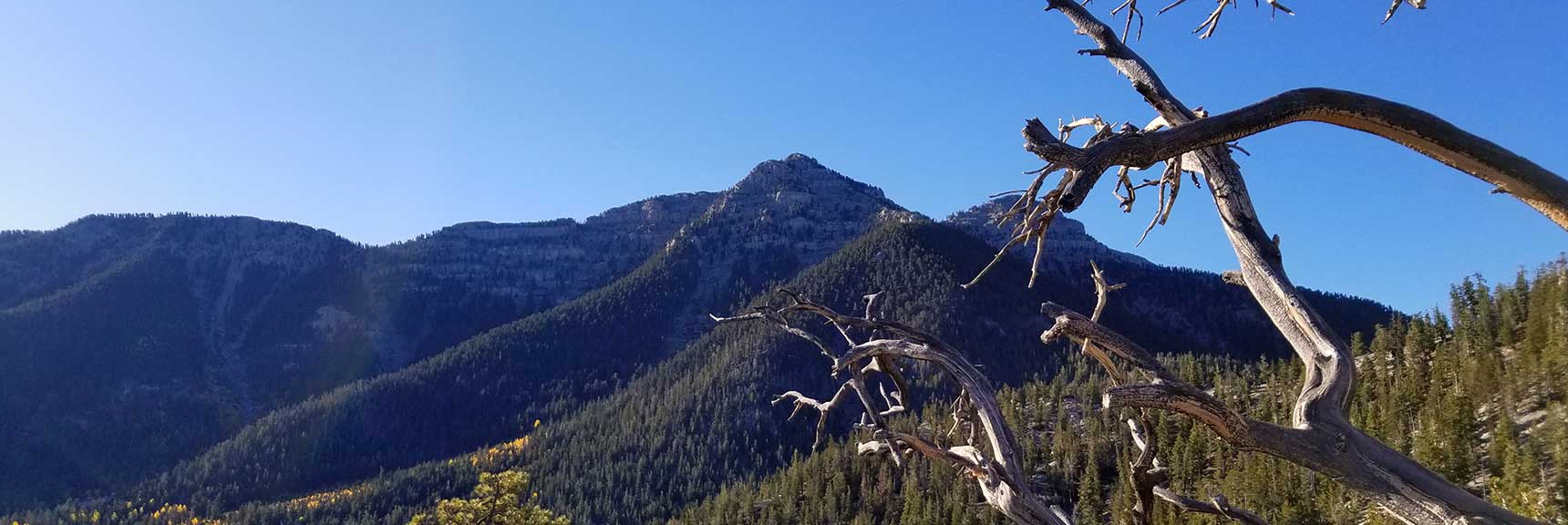 View of Lee Peak from the Bristlecone Pine Trail in Lee Canyon, Mt. Charleston Wilderness, Nevada