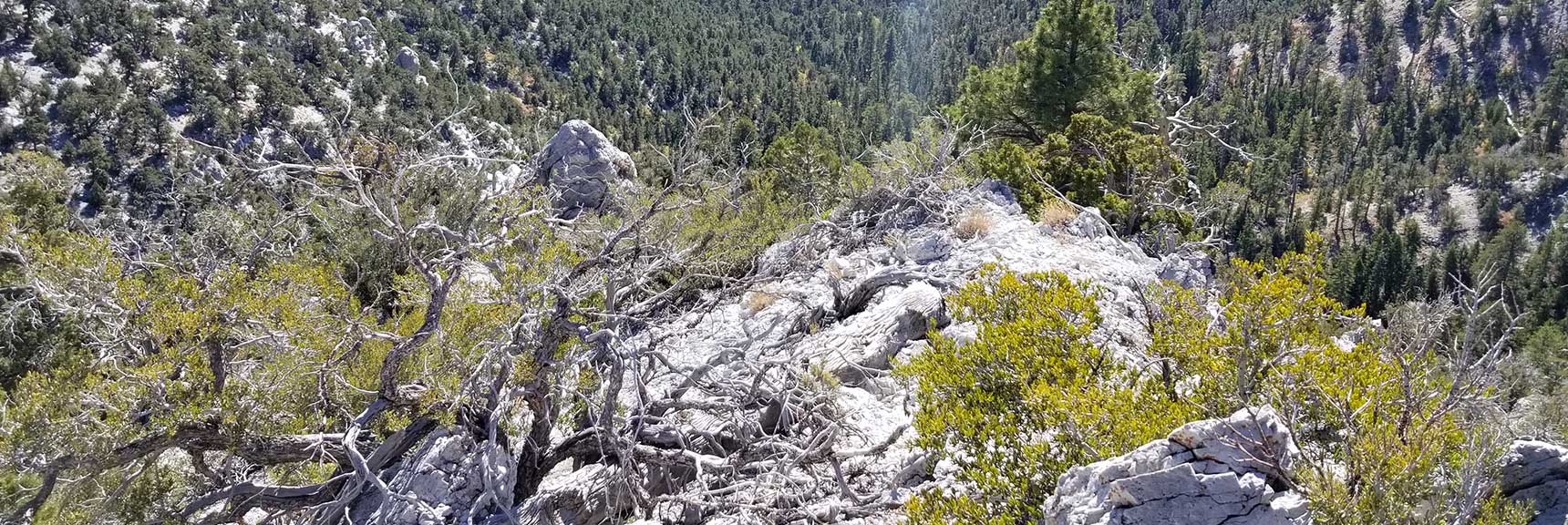 Navigating Rock Formations on the Approach Ridge to Cockscomb Peak and Ridge in Mt. Charleston Wilderness, Nevada