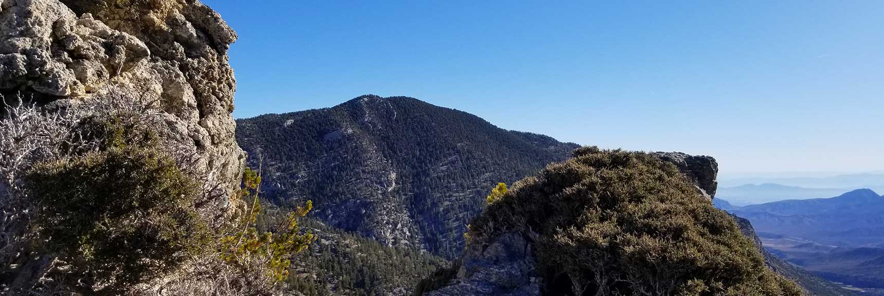 Fletcher Peak Viewed from Cockscomb Ridge in Mt. Charleston Wilderness, Nevada