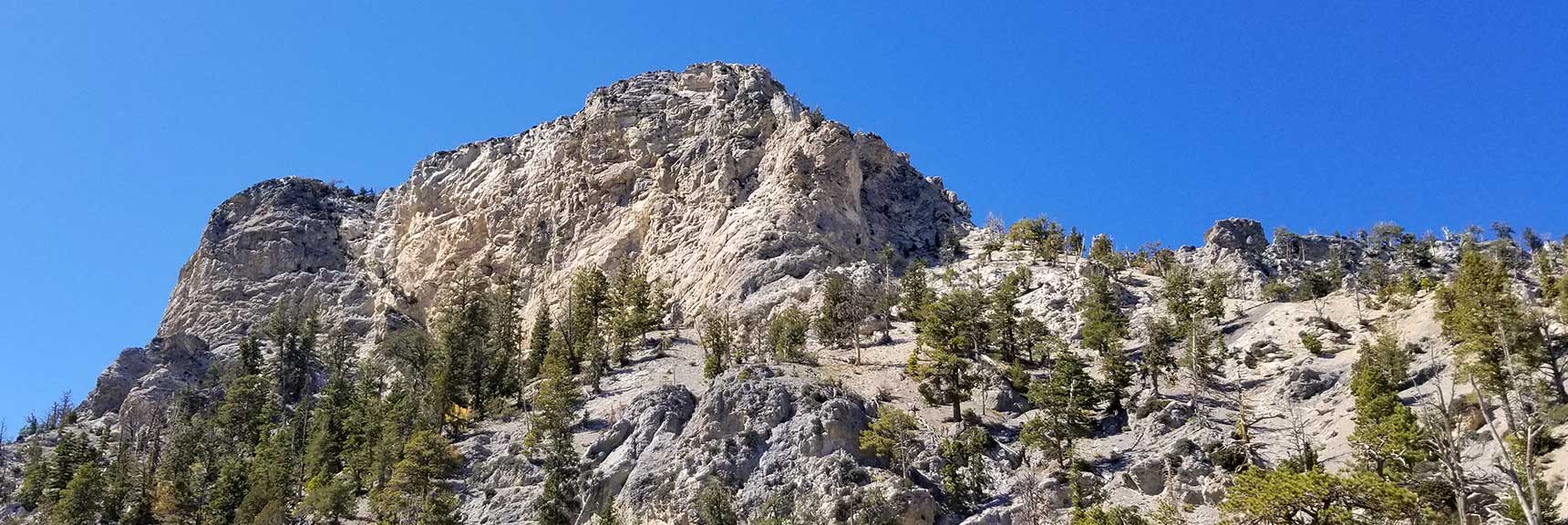 A look back toward Cockscomb Ridge in Mt. Charleston Wilderness, Nevada