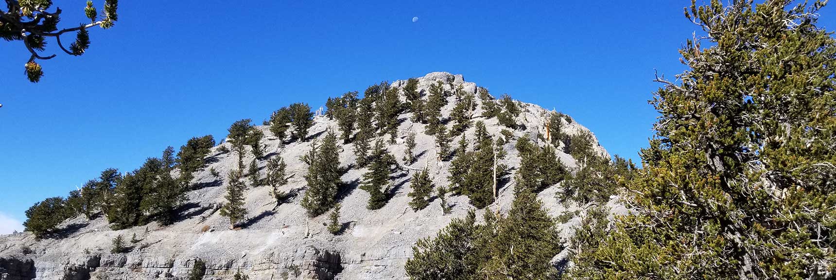 Lee Peak in Kyle Canyon, Spring Mountains, Nevada Slide 001