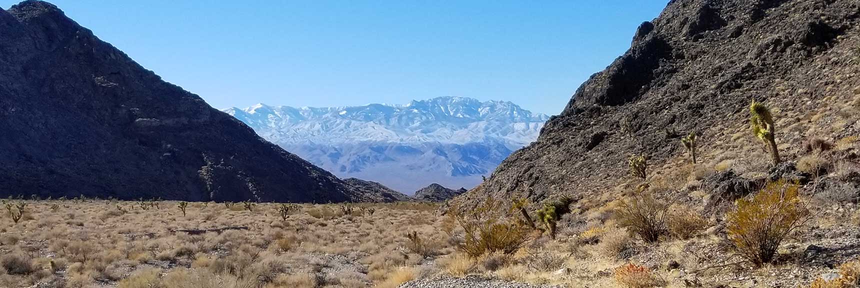 View Down the Sheep Range / Fossil Ridge Pass in the Desert National Wildlife Refuge, Nevada