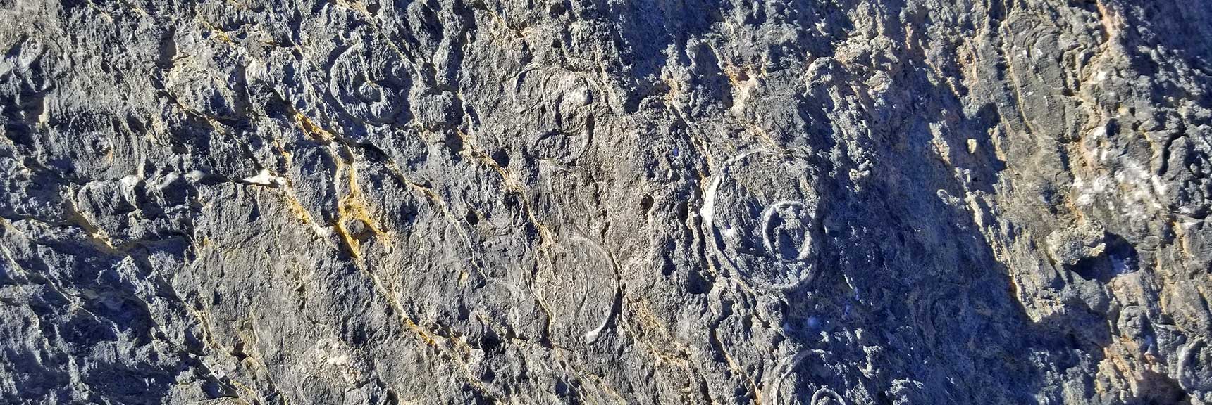 Fossil Rock on North Fossil Ridge in the Desert National Wildlife Refuge, Nevada