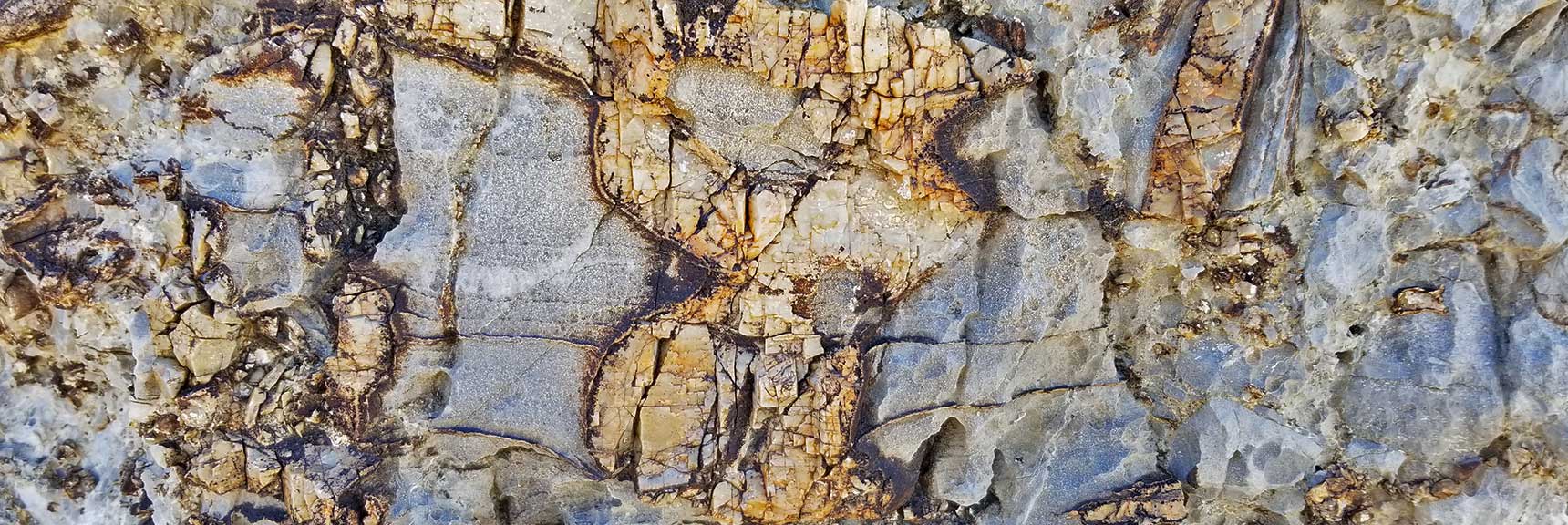 Fossil Rock on North Fossil Ridge in the Desert National Wildlife Refuge, Nevada