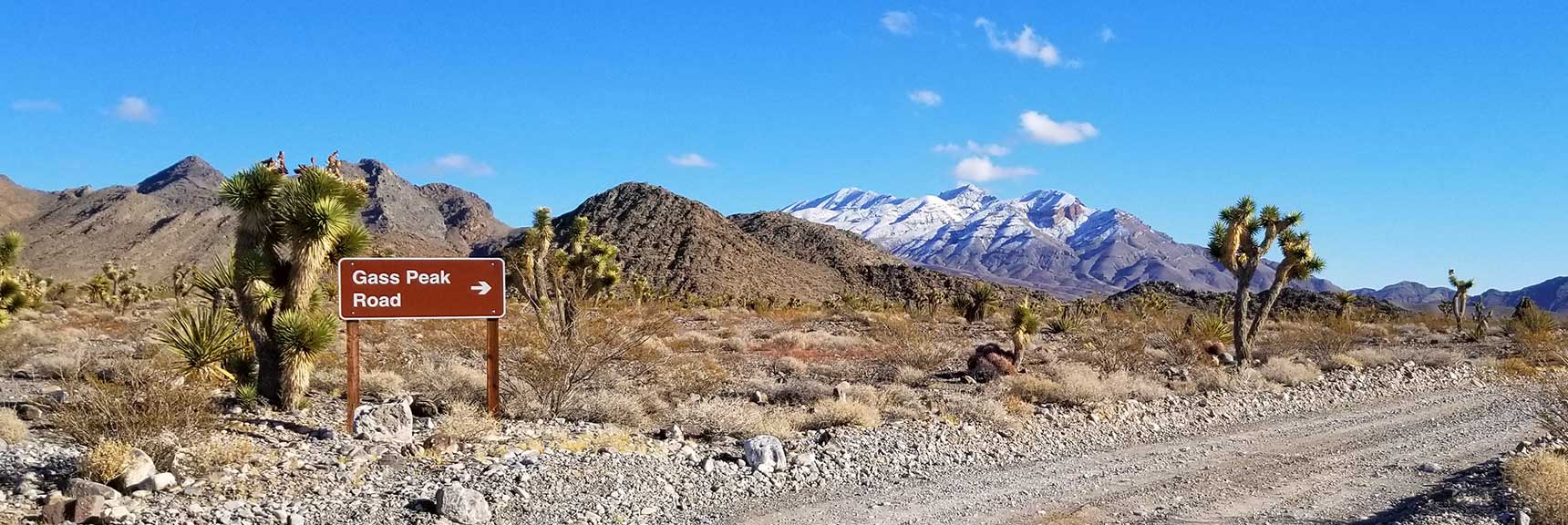 Gass Peak Viewed from Mormon Well Rd, Desert National Wildlife Refuge, Nevada