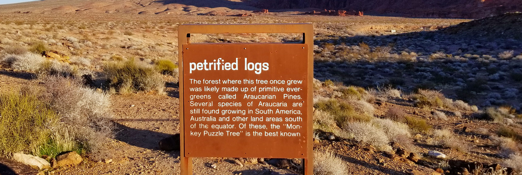 Interpretive Sign Along Petrified Logs Loop in Valley of Fire State Park, Nevada