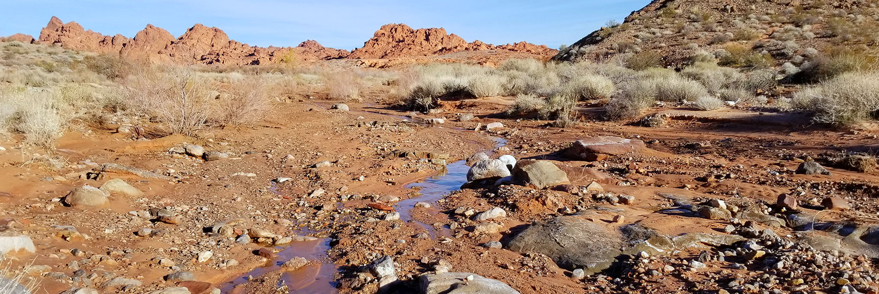 Stream Often Appears Then Disappears Into the Sand on Charlie's Spring Trail, Valley of Fire State Park, Nevada