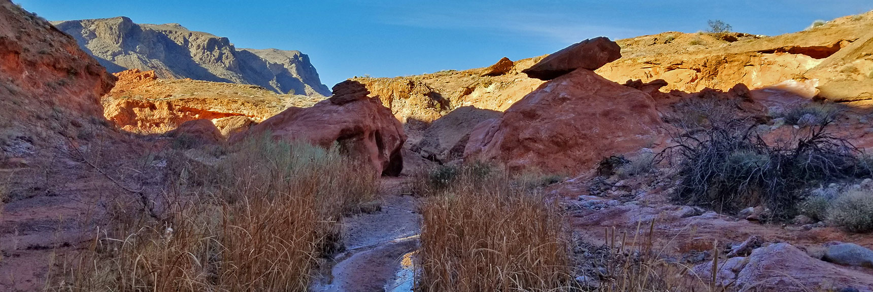 Approaching the Oasis on Charlie's Spring Trail, Valley of Fire State Park, Nevada