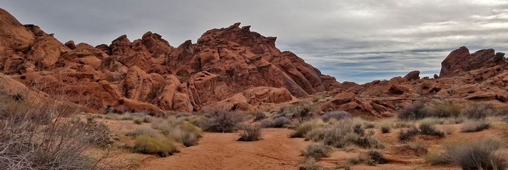 Without the Plants This Is the Planet Mars in Fire Canyon in Valley of Fire State Park, Nevada