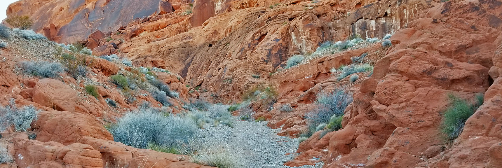 Descending Through the Northern Canyon Wash Prospect Trail in Valley of Fire State Park, Nevada