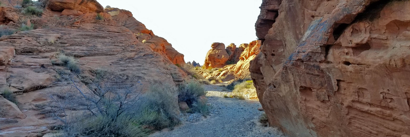 Descending Through the Northern Canyon Wash Toward White Domes on Prospect Trail in Valley of Fire State Park, Nevada