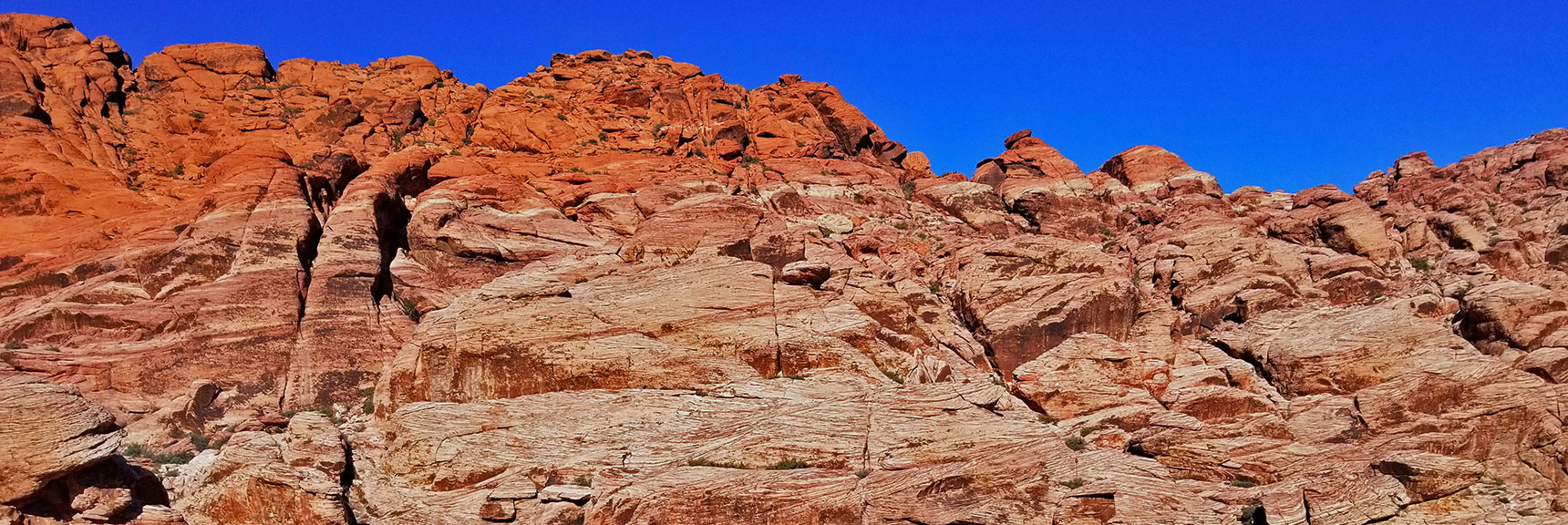 Red Rock National Park View of Calico Hills from Scenic Drive