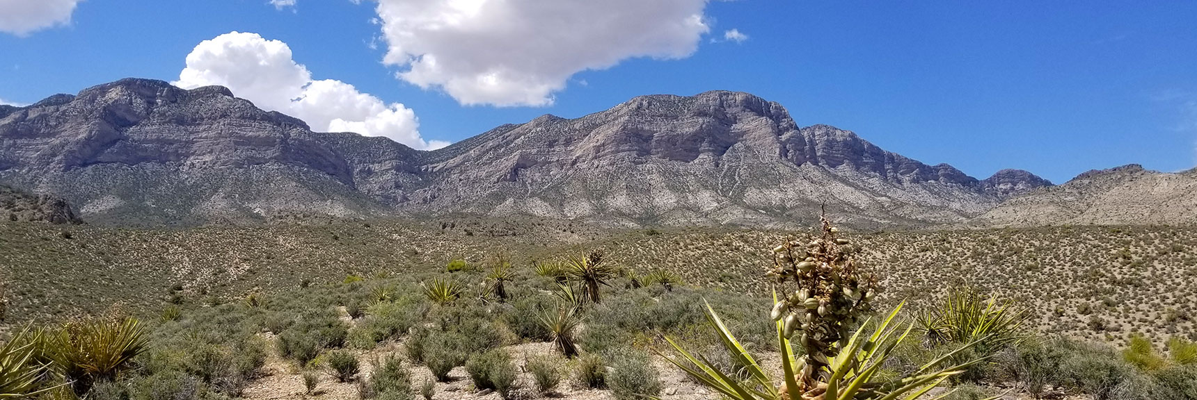 Red Rock National Park View of La Madre Mountain from Top of Scenic Drive