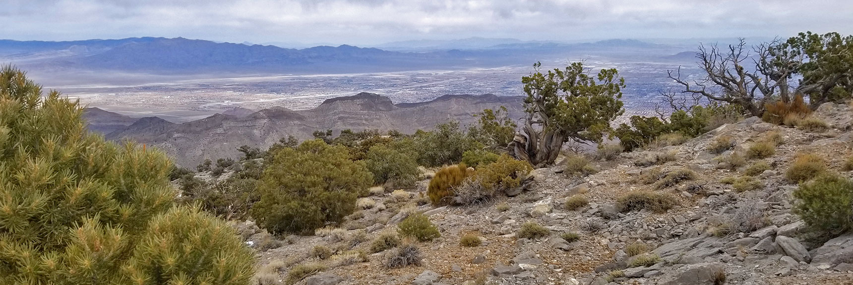 Damsel Peak Summit in Calico Basin, Nevada 005