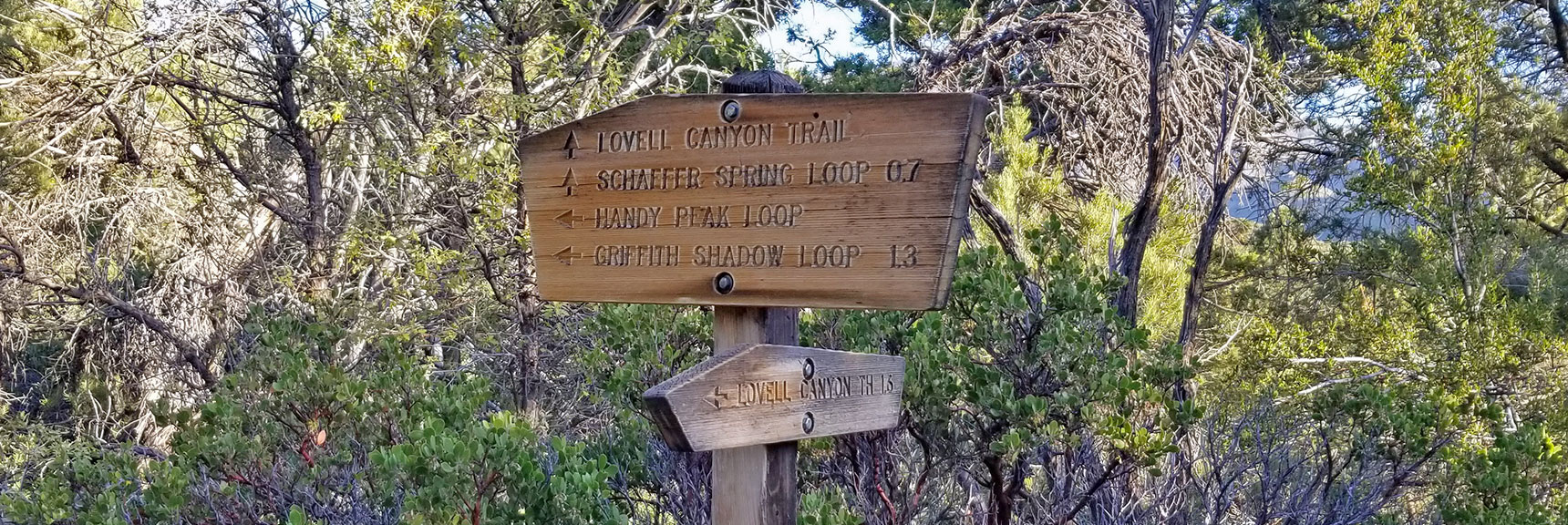 Beginning of Griffith Shadow Loop Trail | Griffith Peak from Lovell Canyon Trailhead, Nevada, 006