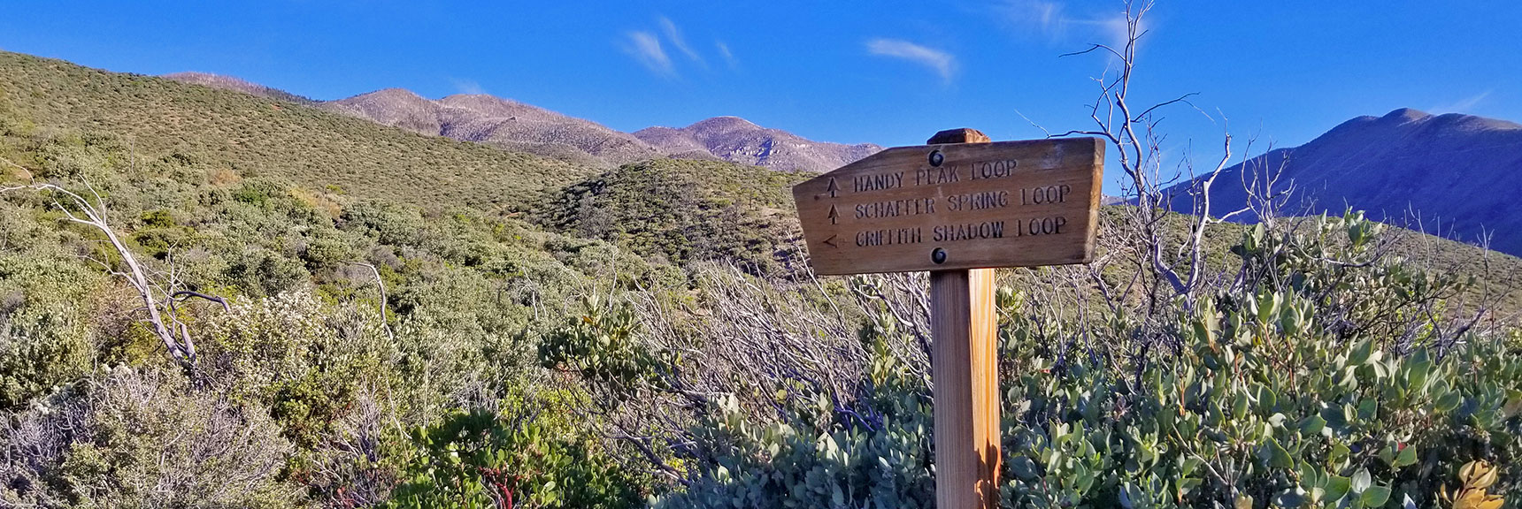 Handy Peak Loop and Schaffer Spring Loop Trails Split Off | Griffith Peak from Lovell Canyon Trailhead, Nevada, 009