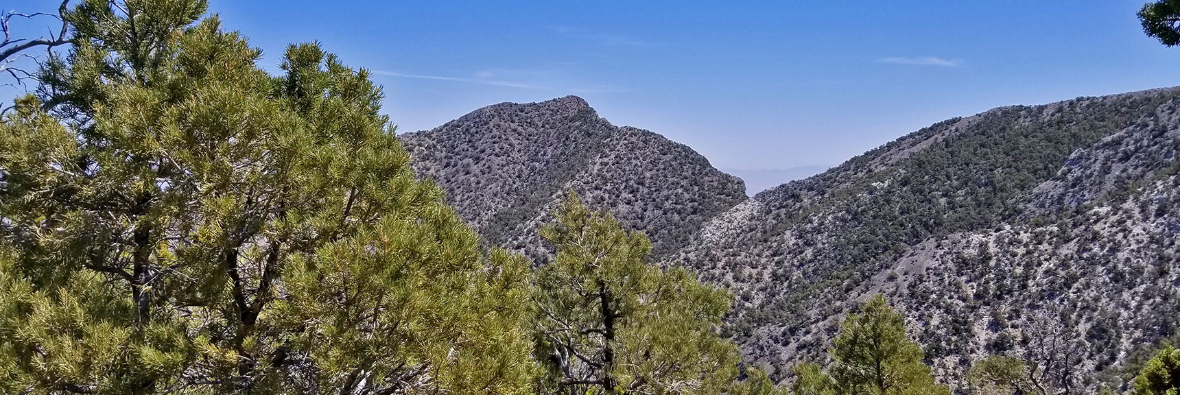 La Madre and El Padre Mountain, La Madre Mountains Wilderness, Nevada