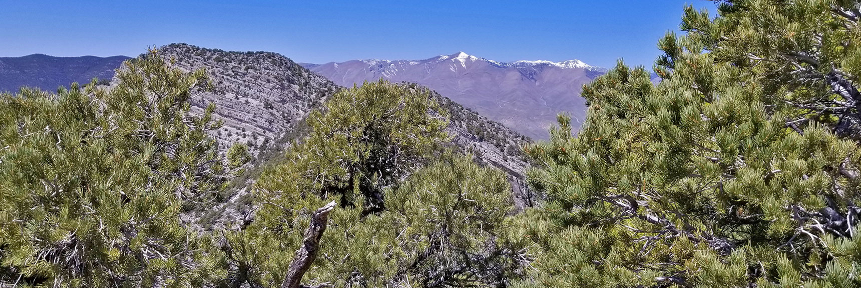 View West Along Keystone Thrust from just West of El Padre Mountain, La Madre Mountains Wilderness, Nevada