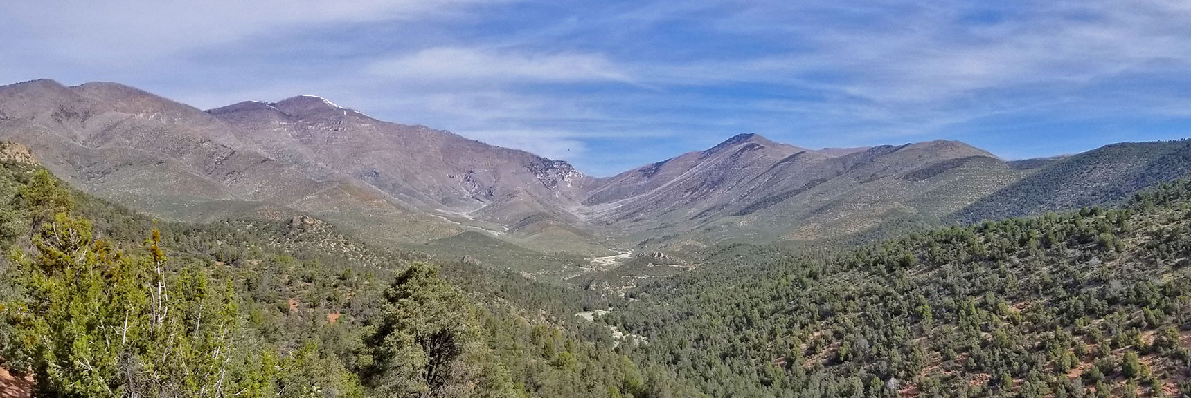 View of Griffith Peak, Harris Mountain and Saddle from Lovell Canyon Trail, La Madre Mountains Wilderness, Nevada