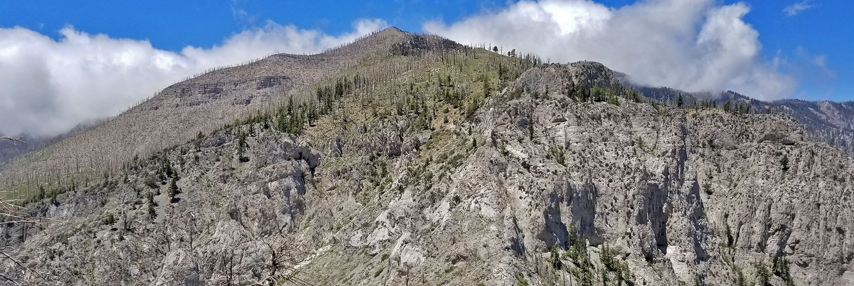 Griffith Peak North Ridge and Cliff System at the Saddle | Harris Mountain Griffith Peak Circuit in Mt. Charleston Wilderness, Nevada