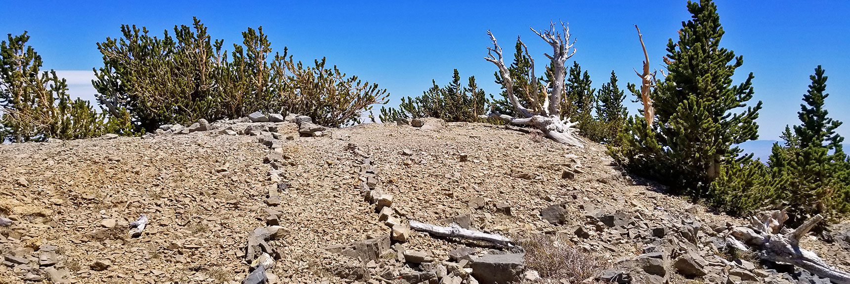 Approaching the True Summit of Mummy Mountain | Mummy Mountain Nevada Northeast Approach