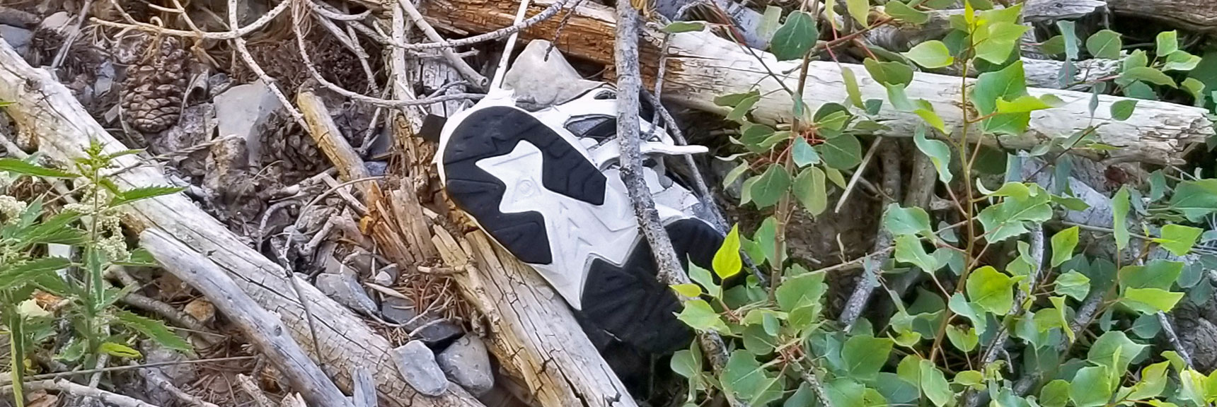 Lone Shoe Left Behind by a Hiker | Cathedral Rock to South Ridge Kyle Canyon Summit, Nevada